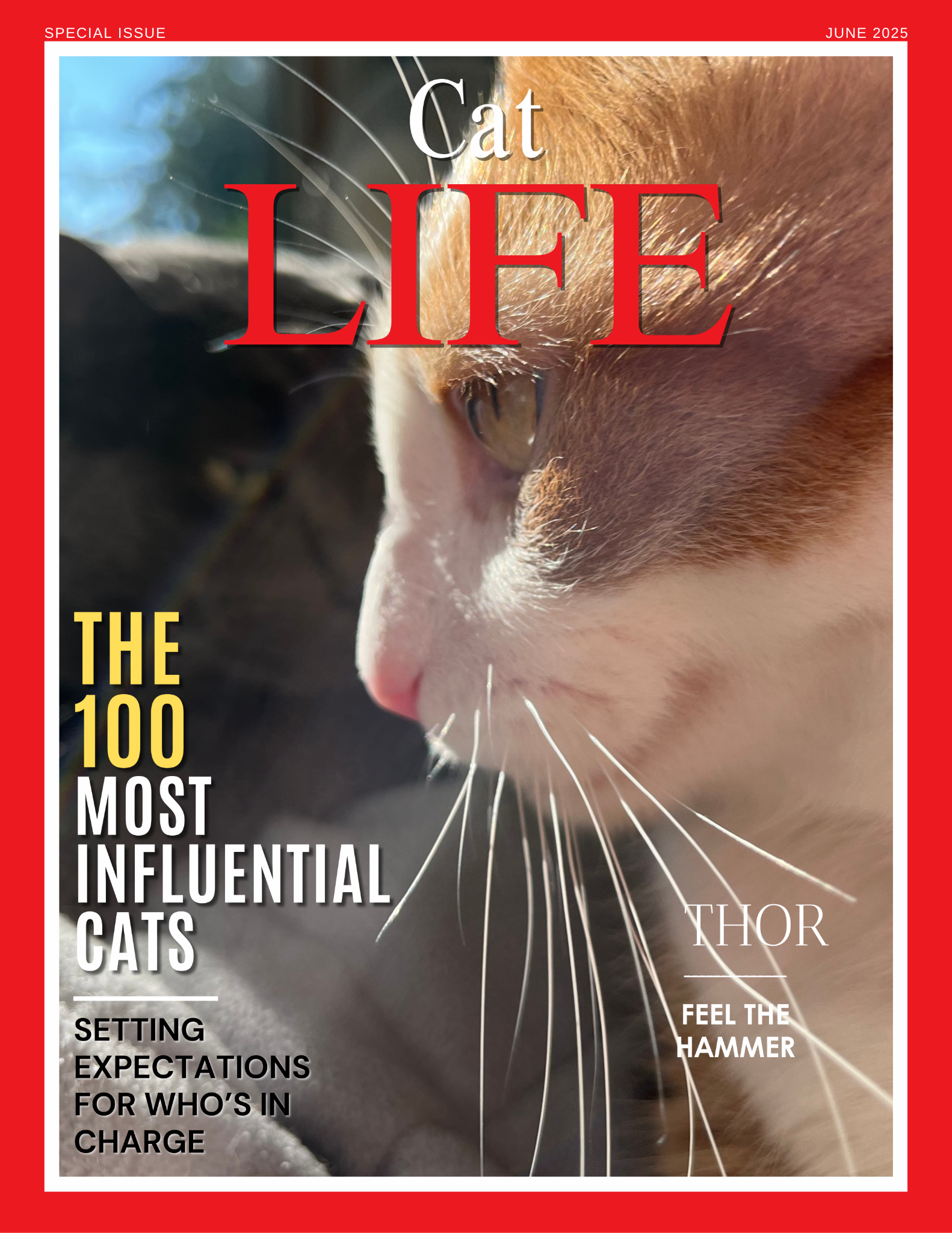 Cat Life sample cover