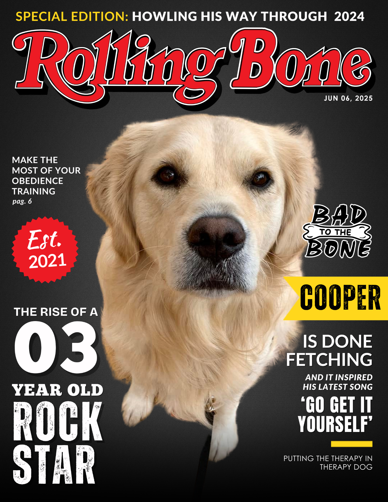 Rock Star sample cover