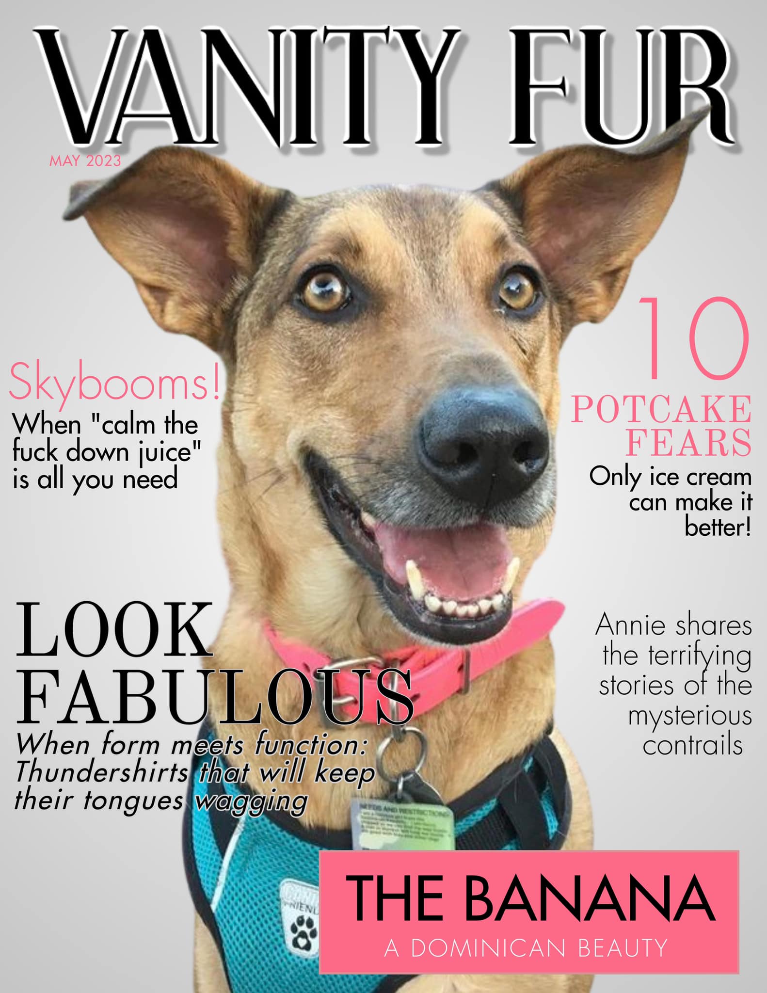Vanity Fur magazine cover